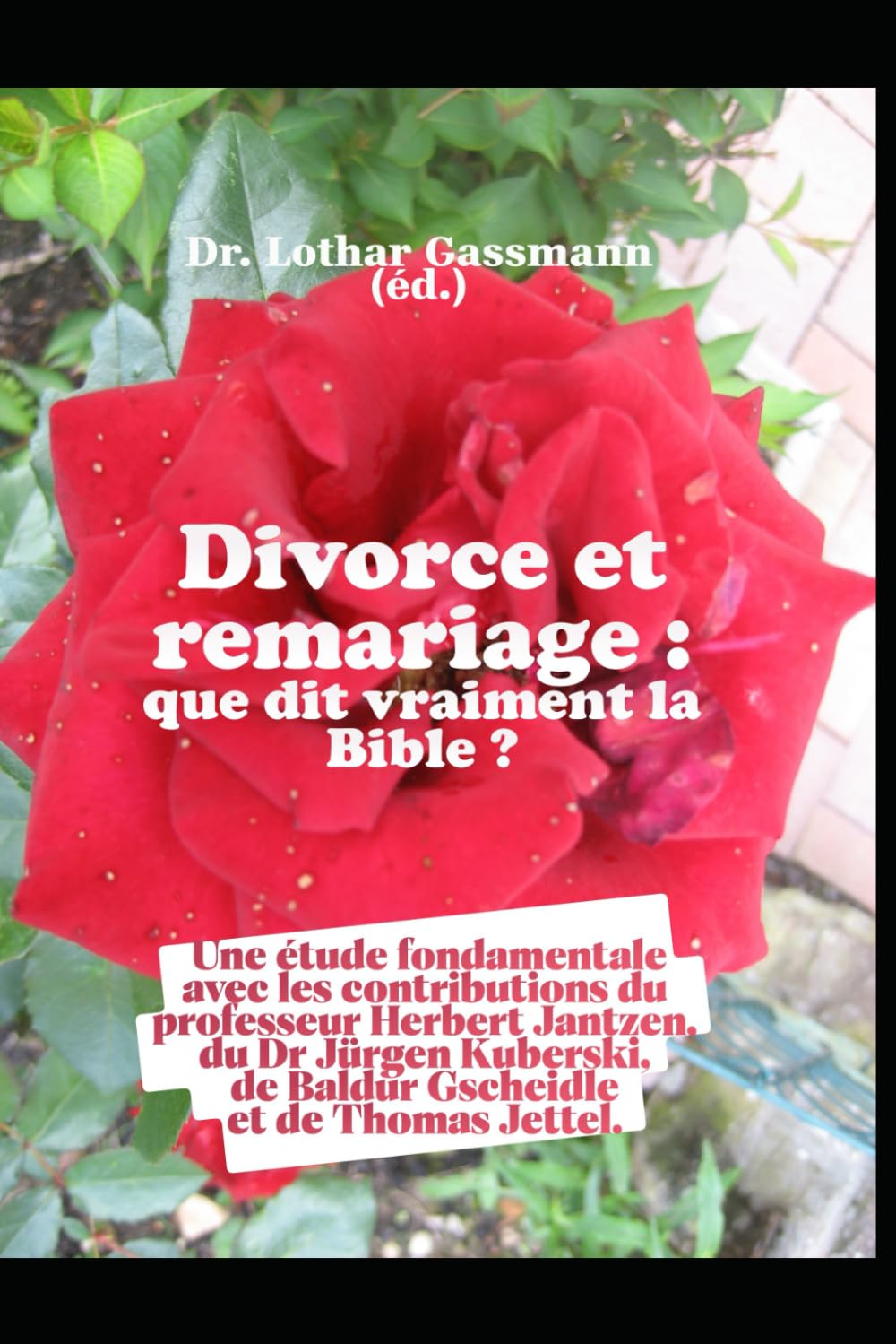 Divorce et remariage : que dit vraiment la Bible ?: Une étude fondamentale avec les contributions du professeur Herbert Jantzen, du Dr Jürgen Kuberski, de Baldur Gscheidle et de Thomas Jettel.