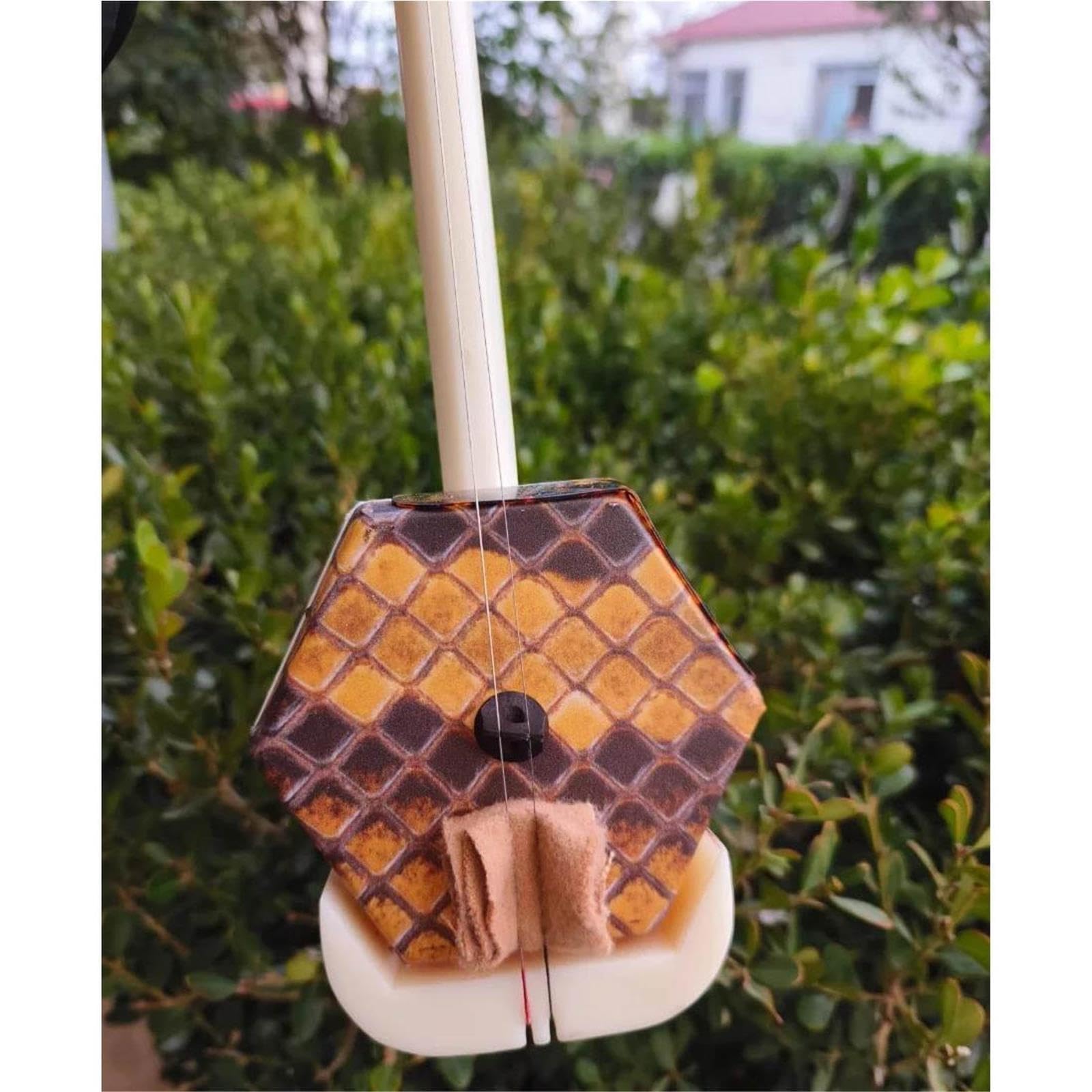 Débutant Erhu Professionnel Erhu 2 Cordes Durable