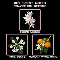 Vista 61 de LOVSPA Aceite Difusor Ocean Driftwood - Aceites Esenciales de Lujo para Recarga de Difusor y Ambientador en Aerosol para Habitaciones - Fragancia