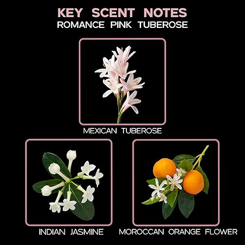 Miniatura 61 de LOVSPA Aceite Difusor Ocean Driftwood - Aceites Esenciales de Lujo para Recarga de Difusor y Ambientador en Aerosol para Habitaciones - Fragancia