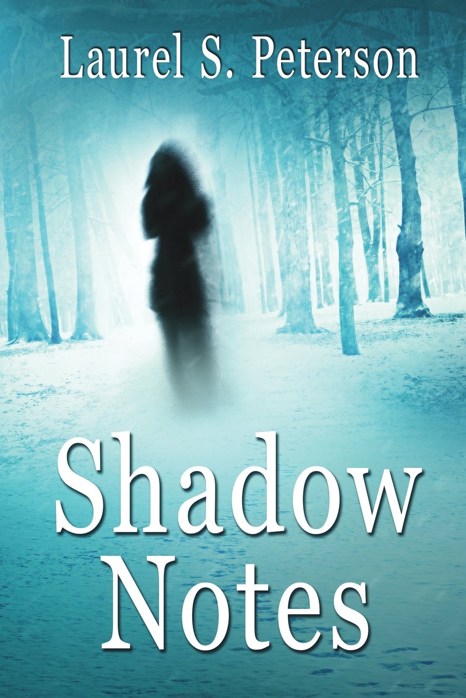 Buy Shadow Notes: A Clara Montague Mystery (Clara Montague Mysteries) — BookShops.in