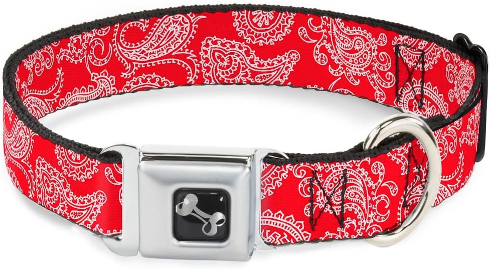 Buckle-Down Seatbelt Buckle Dog Collar - Paisley Red/White - 1" Wide - Fits 15-26" Neck - Large