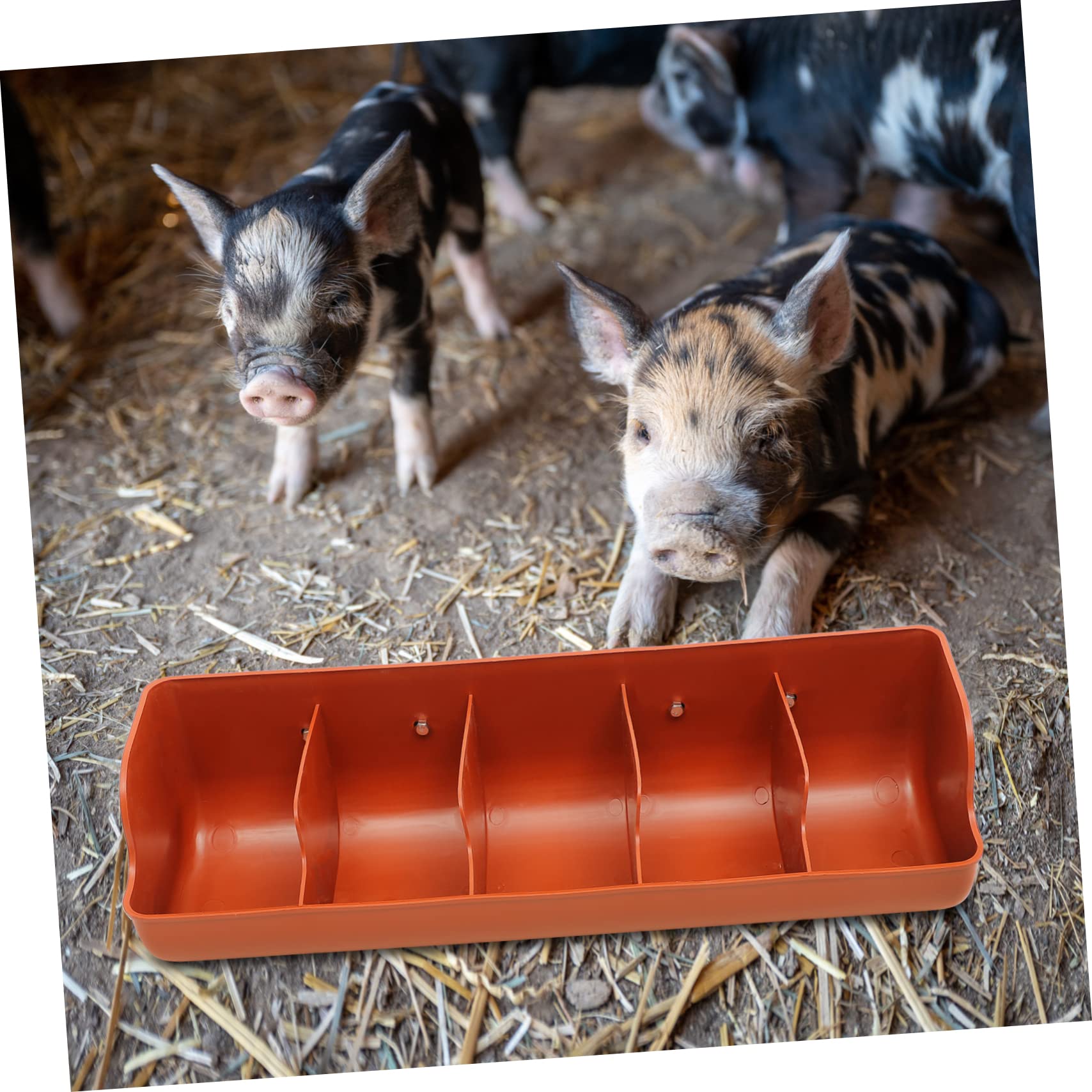 BESPORTBLE Trogolo Porcellino Salvadanaio Cavia Alimentatore Di Cibo Per Bestiame Mangiatoia Per Maiali Alimentatore Di Recinzione Con Clip Cacciatore Di Polli Galline Orange Plastica