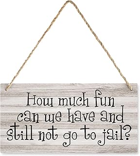 How Much Fun Can We Have Without Going To Jail Wood Sign 12×6inch - Rustic Front Door Decor, Living Room Porch Art