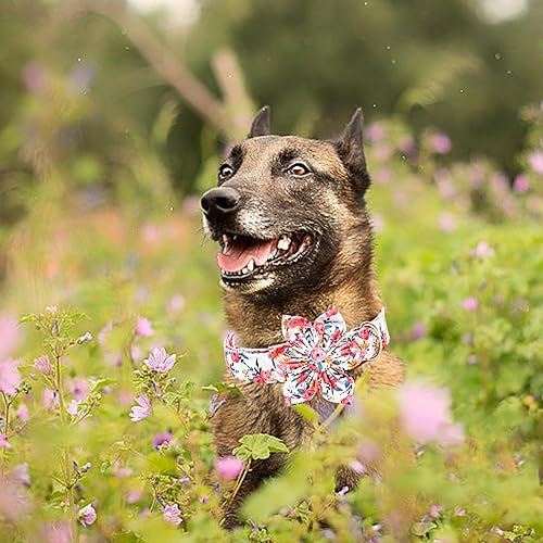 Miniatura 76 de Lionheart glory Collar de perro con bandera estadounidense, collar de flores para perro del 4 de julio, resistente y ajustable, collar patriótico