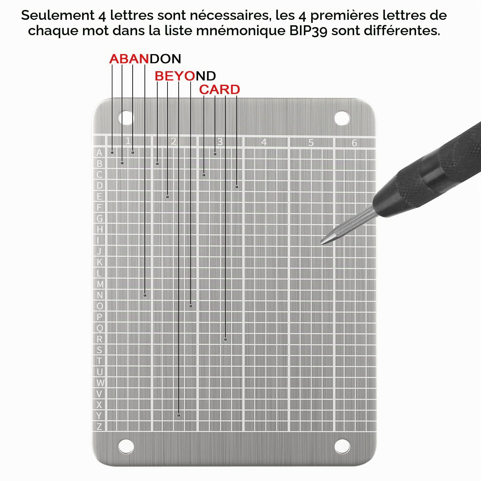 Portefeuille Bitcoin en Acier - Matériel de Sauvegarde à Froid pour Crypto-monnaie, Stockage de Graines Compatible avec Tout