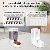 Ver la foto 2