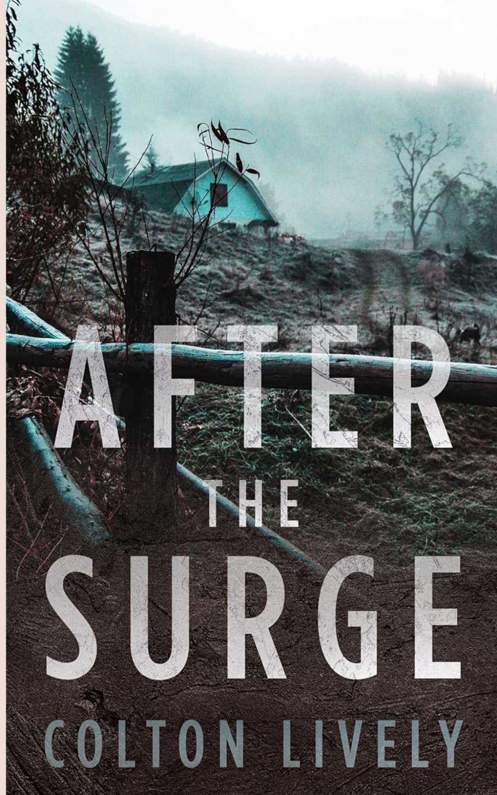 After the Surge: An EMP Post Apocalypse Prepper Survival Thriller: 116 (EMP Survival in a Powerless World)