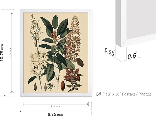 Miniatura 495 de Poster Master Póster vintage de orquídea, estampado de flores retro, arte de pared de plantas exóticas, arte botánico, regalo para hombres y