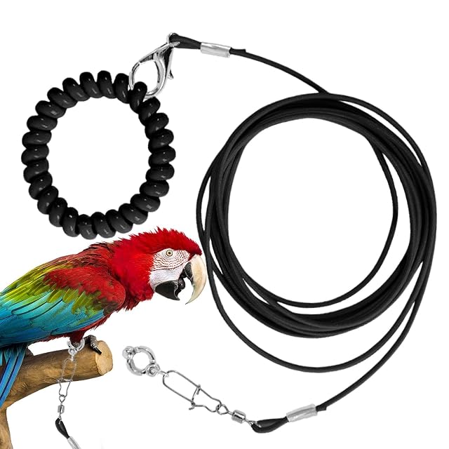 Foto 8 de 8 de Cadena de pie de pájaro, cuerda voladora ligera para mascotas, resistente a las mordeduras
