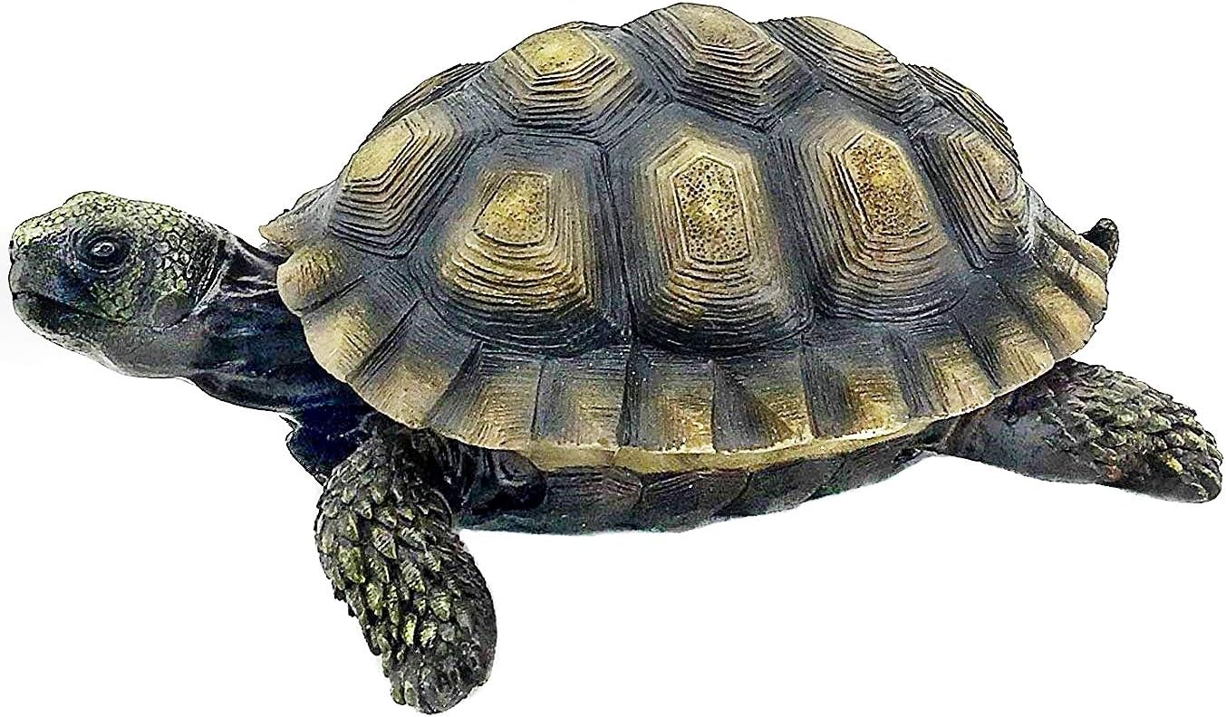 Bellaa Turtle Garden Sculptures Statues Home Decor Tortoise Realistic Cute Large Animal Gilbert Zen Garden Patio Lawn Yard Art Tanya Talia Galapagos Todd Outdoor Figurines 9 inch