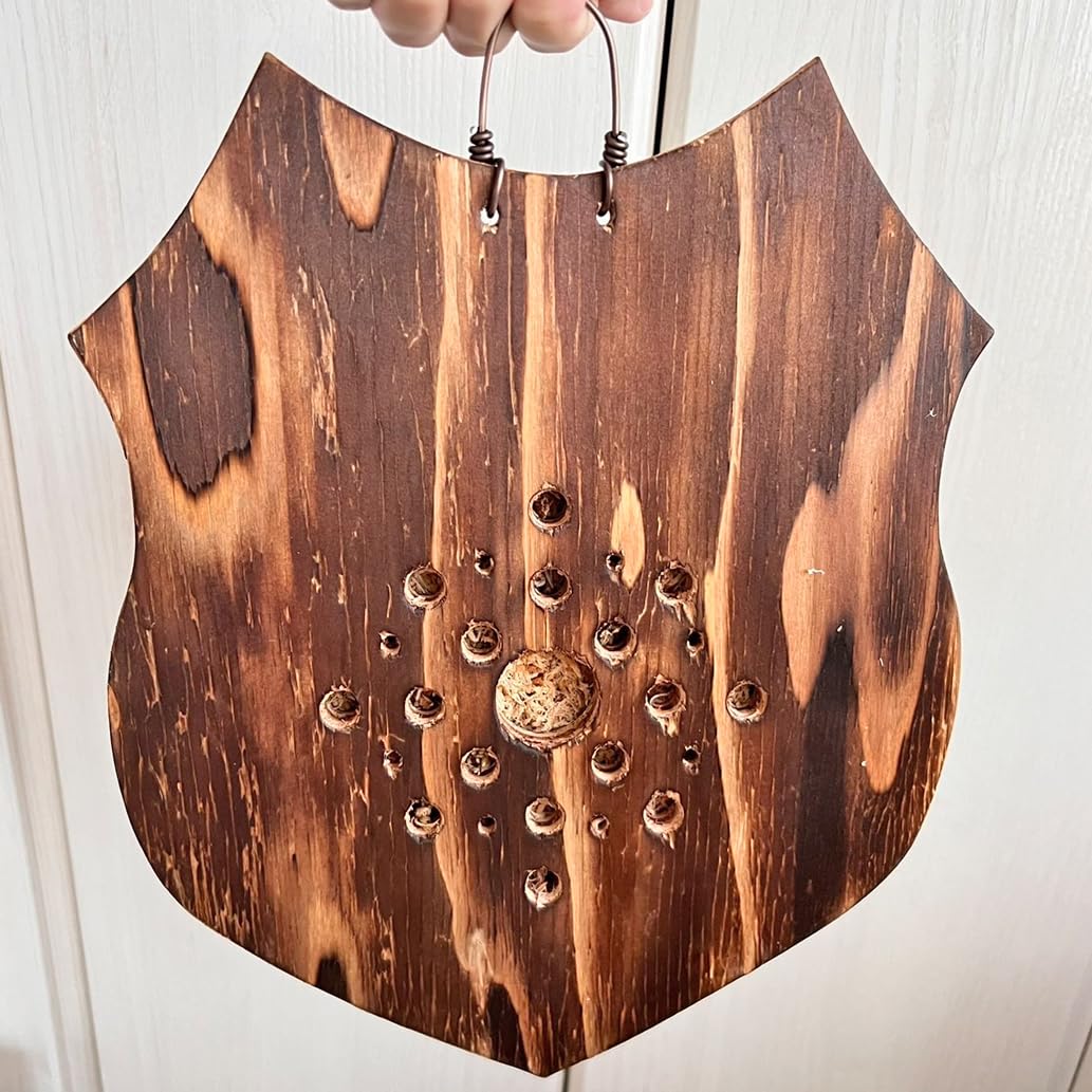 Amazon｜【おしゃれな壁掛け観葉植物】ビカクシダ ビフルカツム 板付