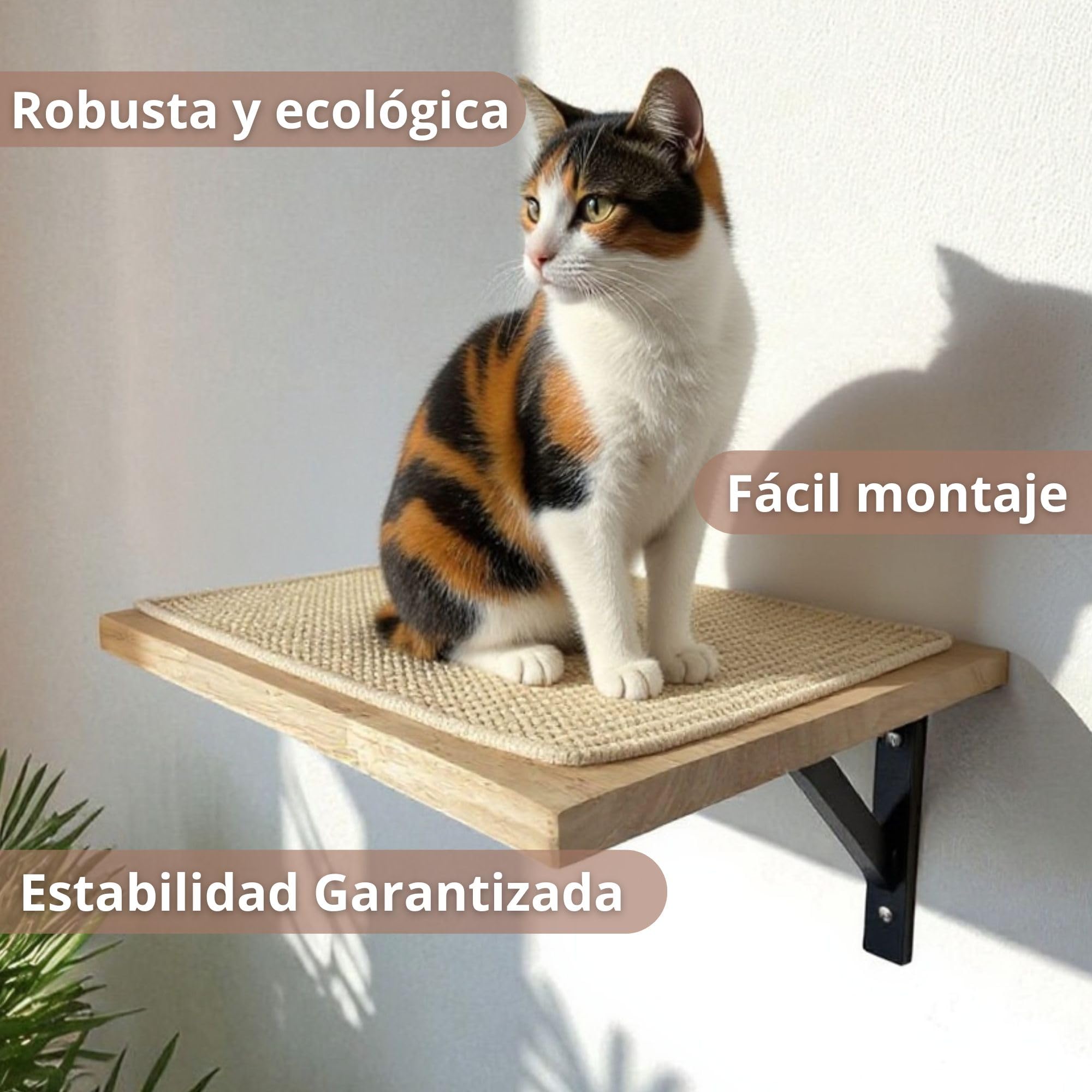 Estantería para Gatos Interior Ancla Mural con Plataforma de Descanso y Rascador de Sisal Antideslizante | Madera de Caucho Sostenible para Pared