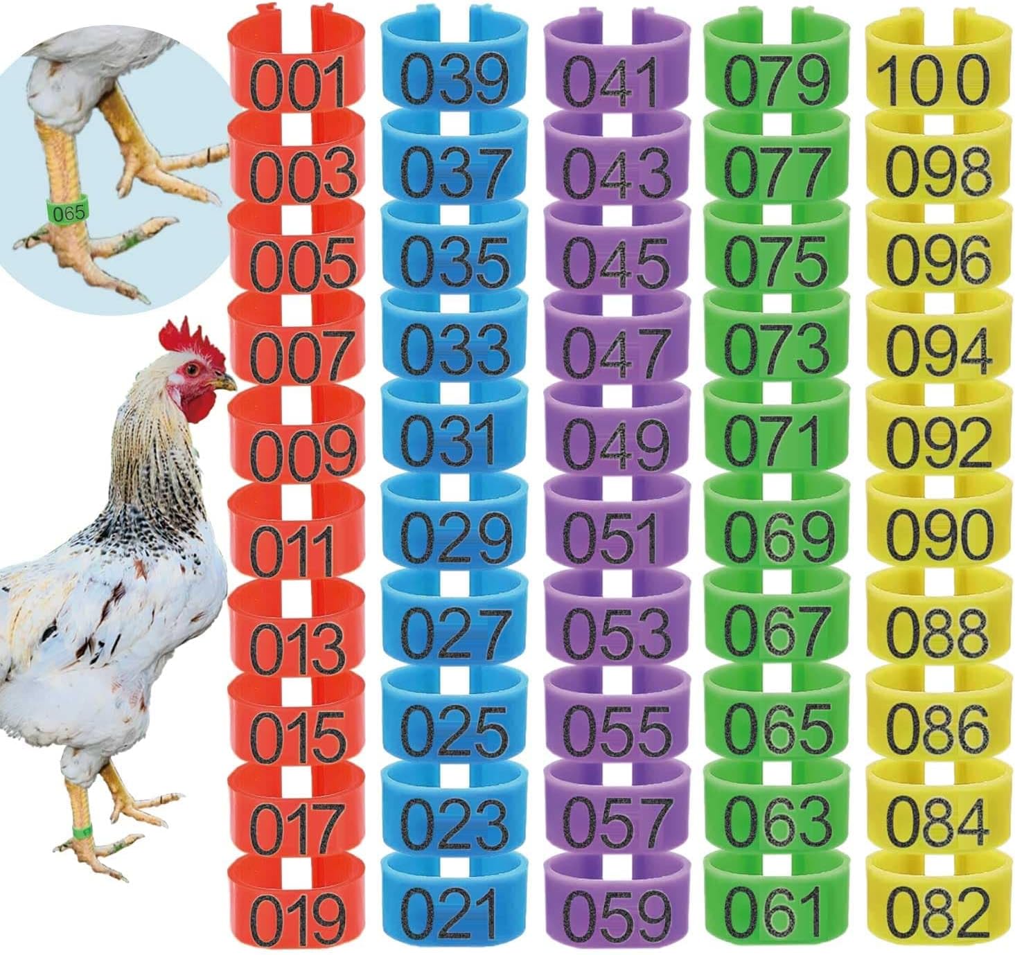 Xotinining yuzidagi jinsiy aloqaning shaxsiy porno fotosuratlari Porno bal raqsi oqituvchisi