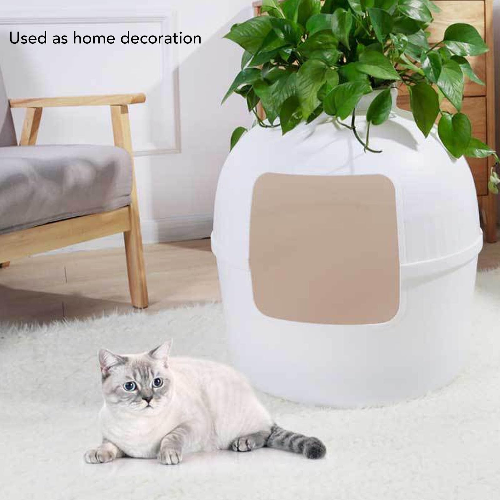 Bac à Litière pour Chat, Bac à Litière caché, Espace de sécurité fermé, Matériau PP, Bac à Litière caché pour Chat, Meubles pour la Décoration de la Maison, Intérieur Spacieux