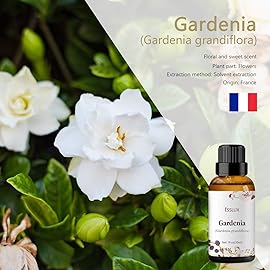 Gardenia Essential Oil, Esslux Aromatherapy Essential Oils for Diffuser, Massage, Soap, Candle Making, Perfume, 30 ml