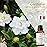 Gardenia Essential Oil, Esslux Aromatherapy Essential Oils for Diffuser, Massage, Soap, Candle Making, Perfume, 30 ml