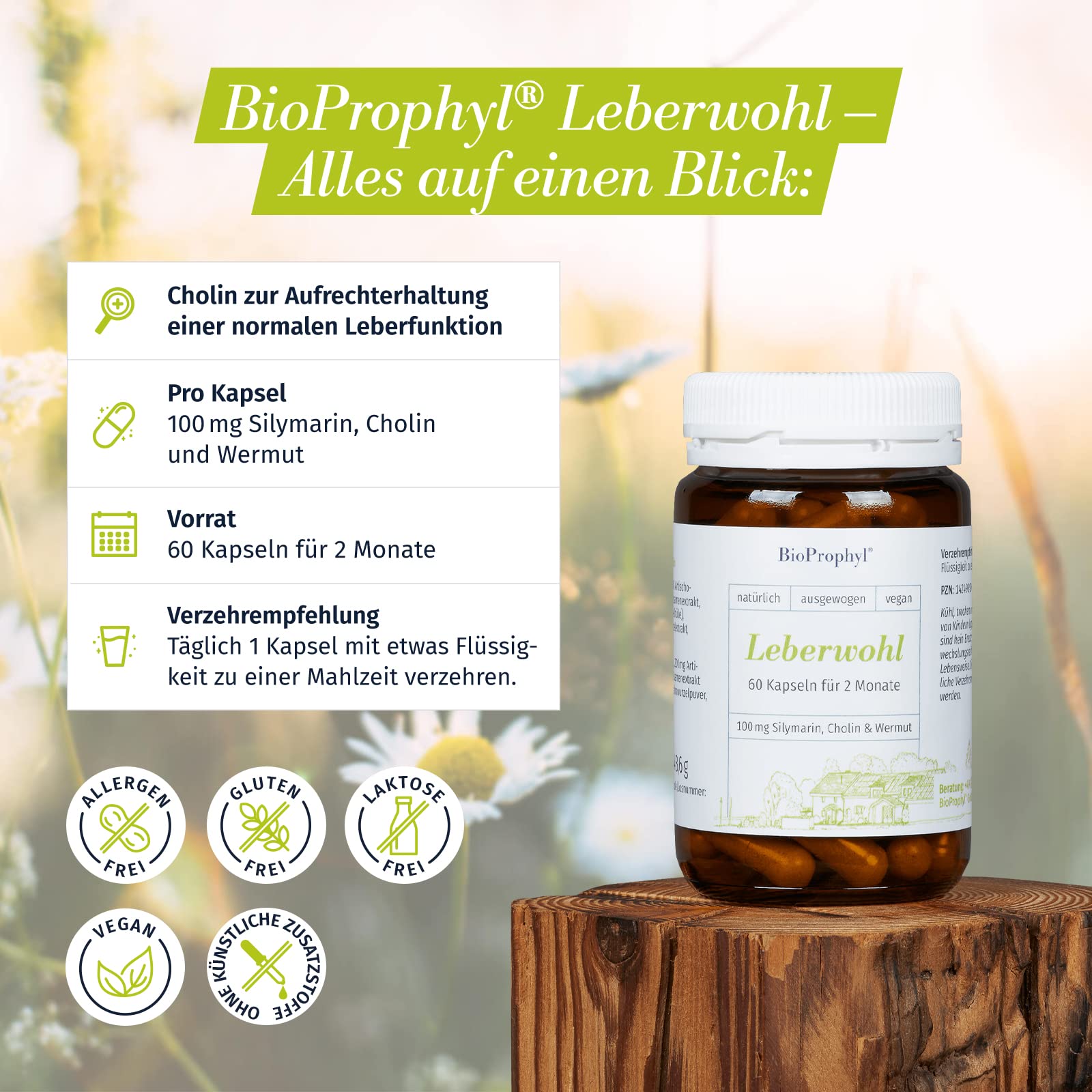 Leberwohl 100 mg Cholin zur Aufrechterhaltung einer gesunden Leberfunktion mit 100 mg Silymarin aus Mariendistelsamenextrakt & bitteren Extrakten aus Wermut, Artischocke & Löwenzahnwurzel