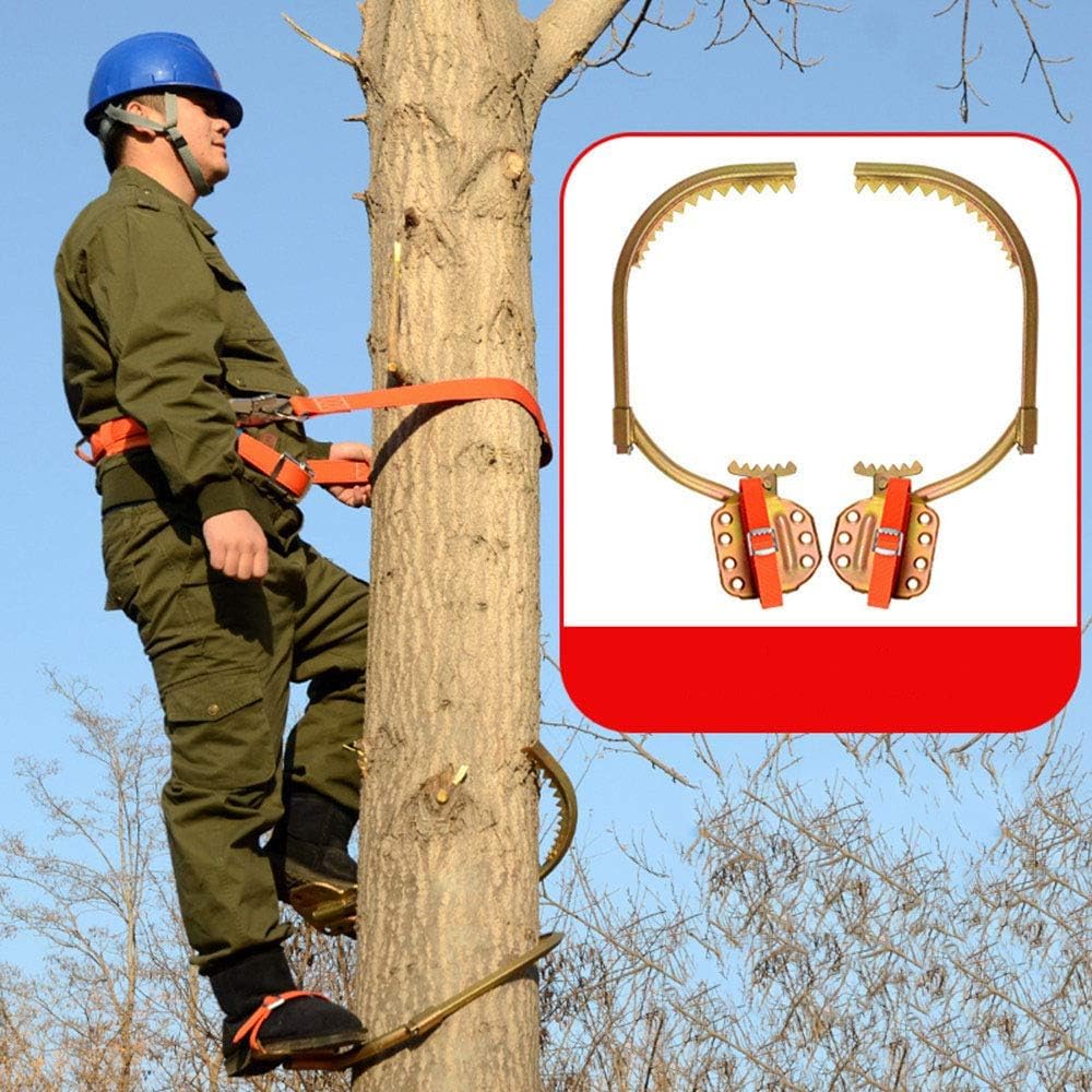 Pointes d'escalade de poteau antidérapantes arbres grimpants 400Model