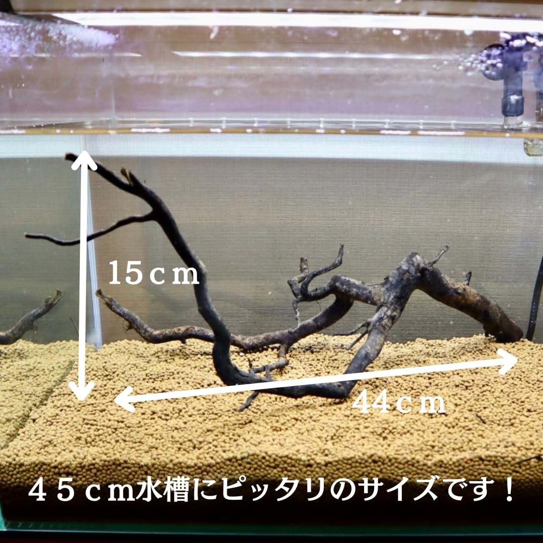 Amazon | 写真で選べる沈むアク抜き枝流木 45cm水槽用 沈水