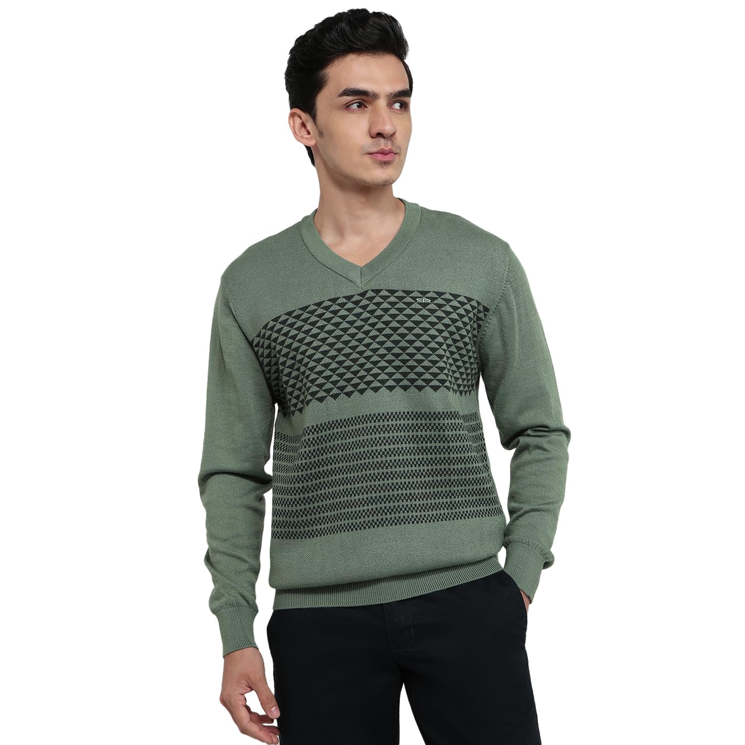 colorplus Men Regular Fit Jacquard Pattern Merino Wool Acrylic Blend Full Sleeve V Neck Casual Sweater-picture-34