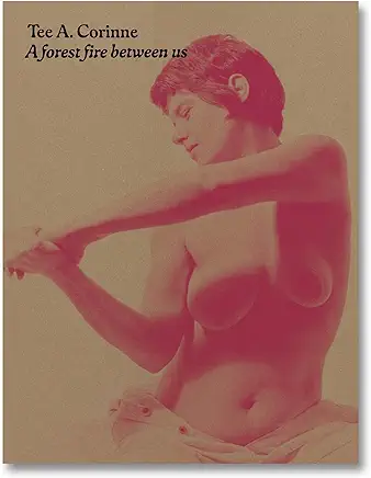 Image for Tee A. Corinne: A forest fire between us