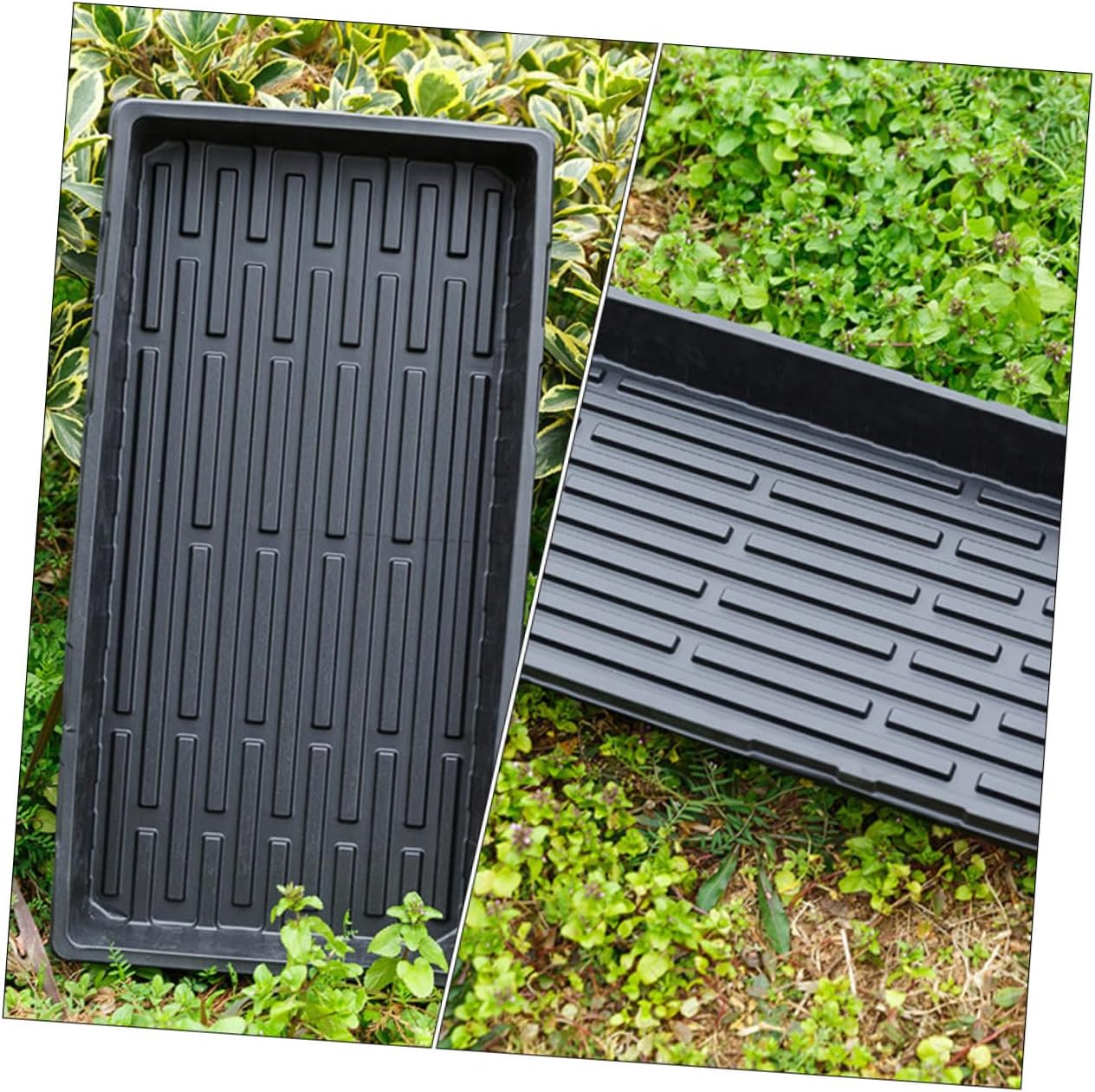 Toyvian 3Pcs Thick Seedling Trays for Plant Germination Durable Gardening Starter Trays for Greenhouse and Vegetable Planting Thick Convenient for Starting