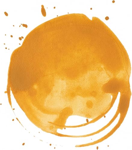 Vista 120 de Liquitex - Pintura acrílica profesional INK! Jarro de 1 onza, color blanco de titanio Umber crudo transparente