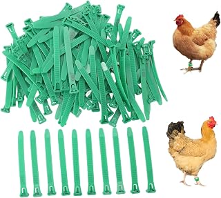 100 Pcs Chicken Leg Rings, Numbered Chicken Identification Leg Bands Adjustable Fadeless Clip on Leg Rings for Ducks Chicks Goose (Green)