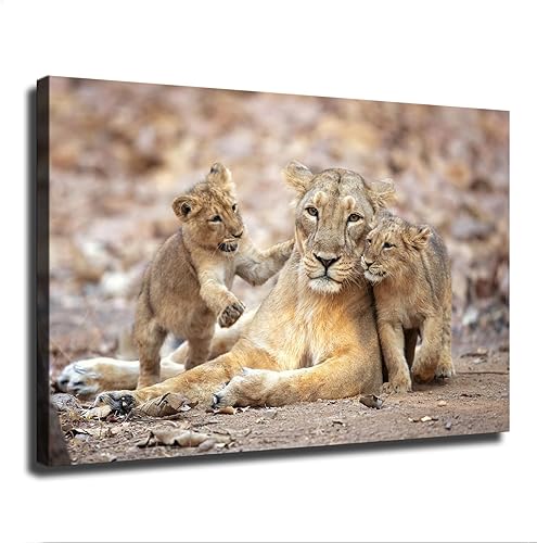 Three Lioness Lions Cubs Poster Wall Art Canvas Painting HD Picture Print for Mo
