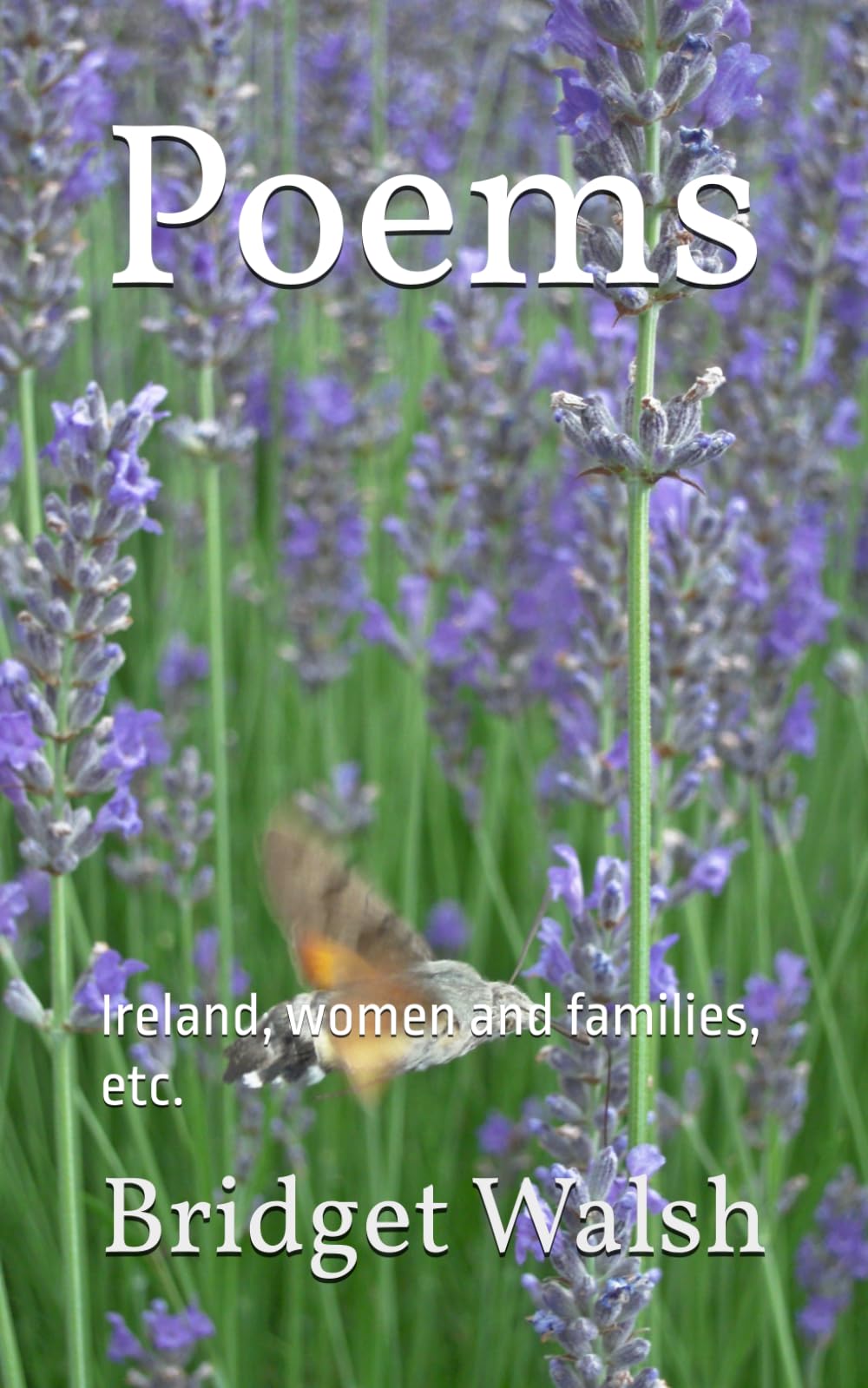Poems: Ireland, women and families, etc. (An Irish Famine Series)