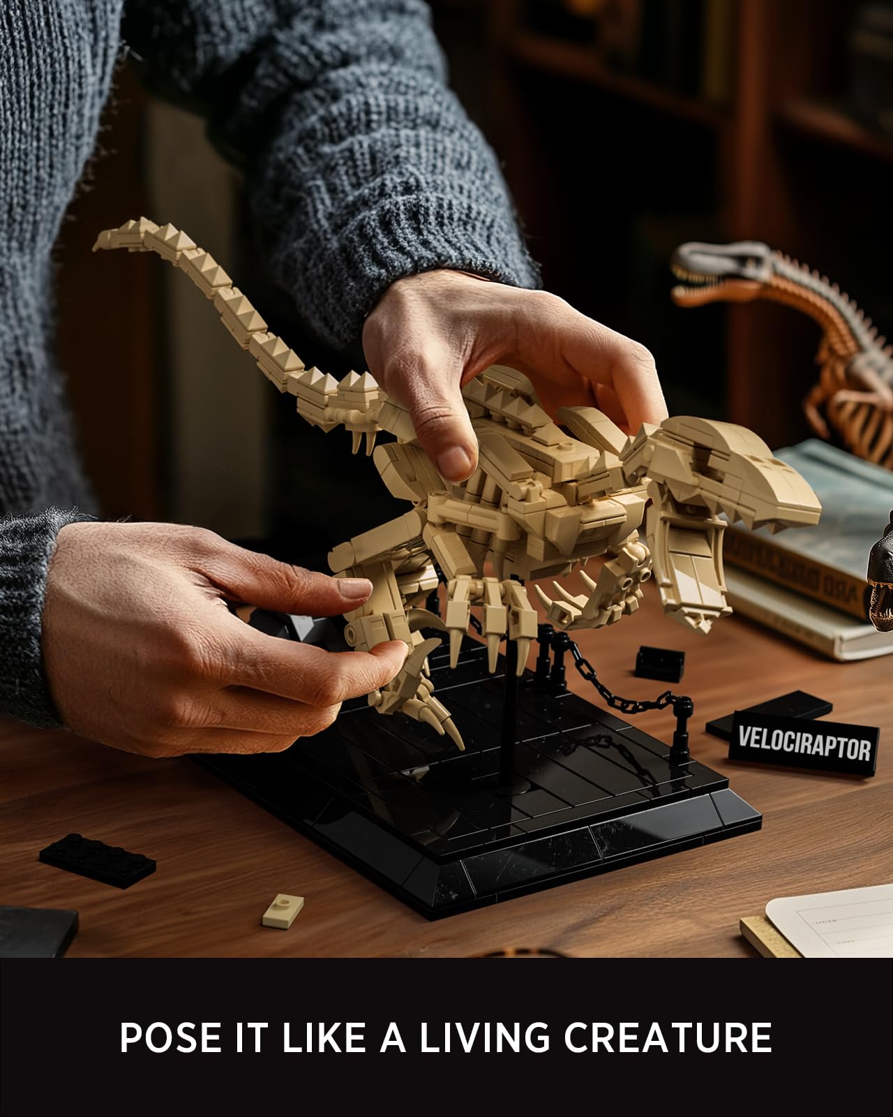 Nifeliz Maquette Fossile Velociraptor, Kit Construction Squelette Dinosaure avec Support 498 pièces