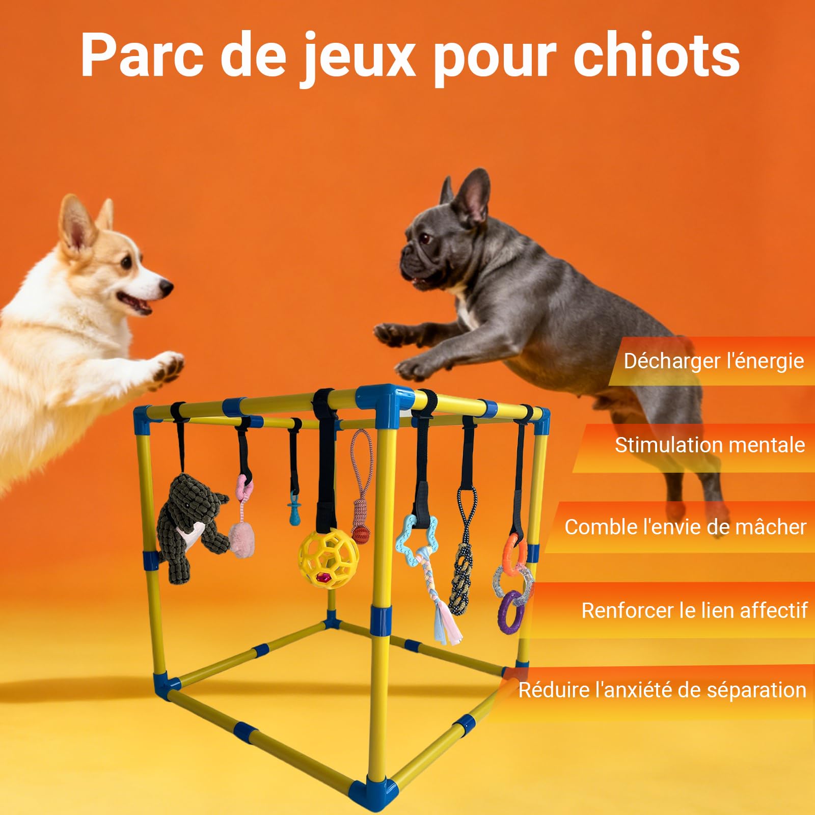 Aire de jeux pour chiot, Jouets d'enrichissement pour chiot pour les garder occupés, 9 jouets suspendus détachables/remplaçables pour chiot, Jouets pour chien pour s'amuser et faire de