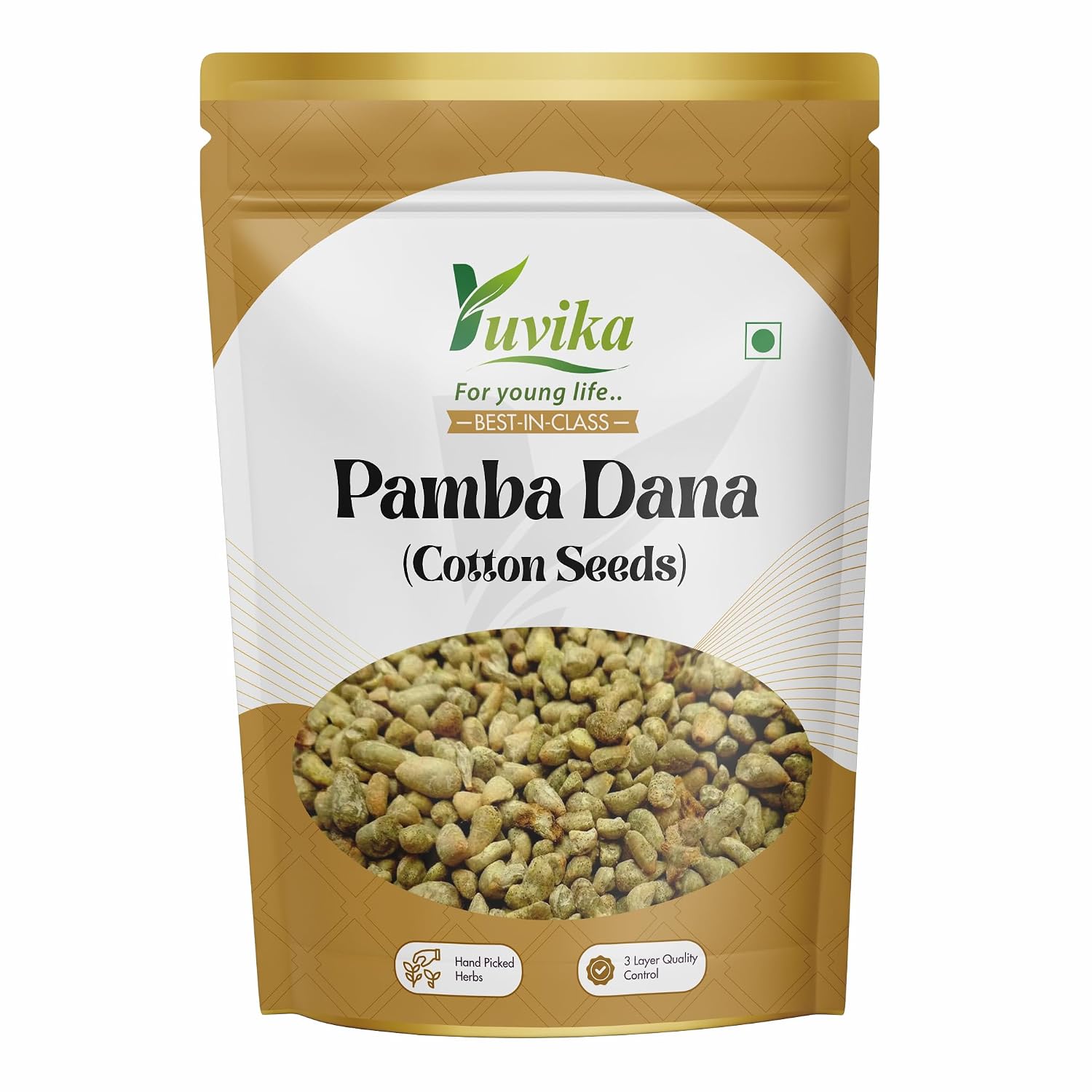 YUVIKA Pamba Dana - Binola Giri - Gossypium herbaceum - Cotton Seeds (100 Grams) - Review, Price and Buying Guide