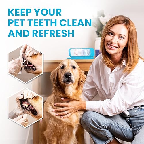 Vista 31 de Dental Duty Herramientas dentales, púa dental para herramientas de limpieza de dientes, removedor de placa para dientes con kit de limpieza