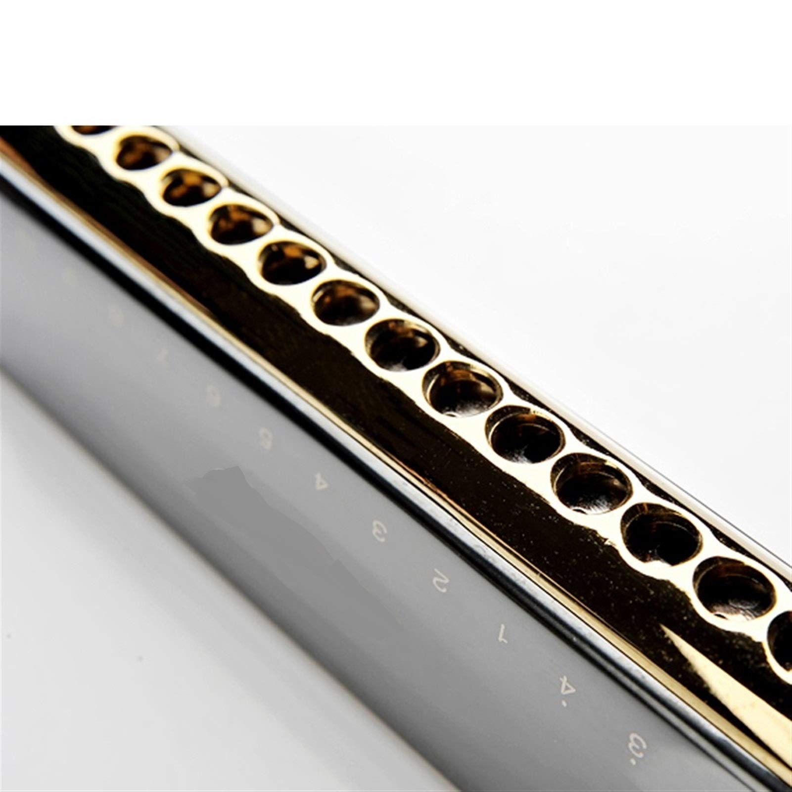 クロマチック・ハーモニカ 「フォーク・ヤング」 Amazon.co.jp: フォーク楽器 プロフェッショナル16の穴64音
