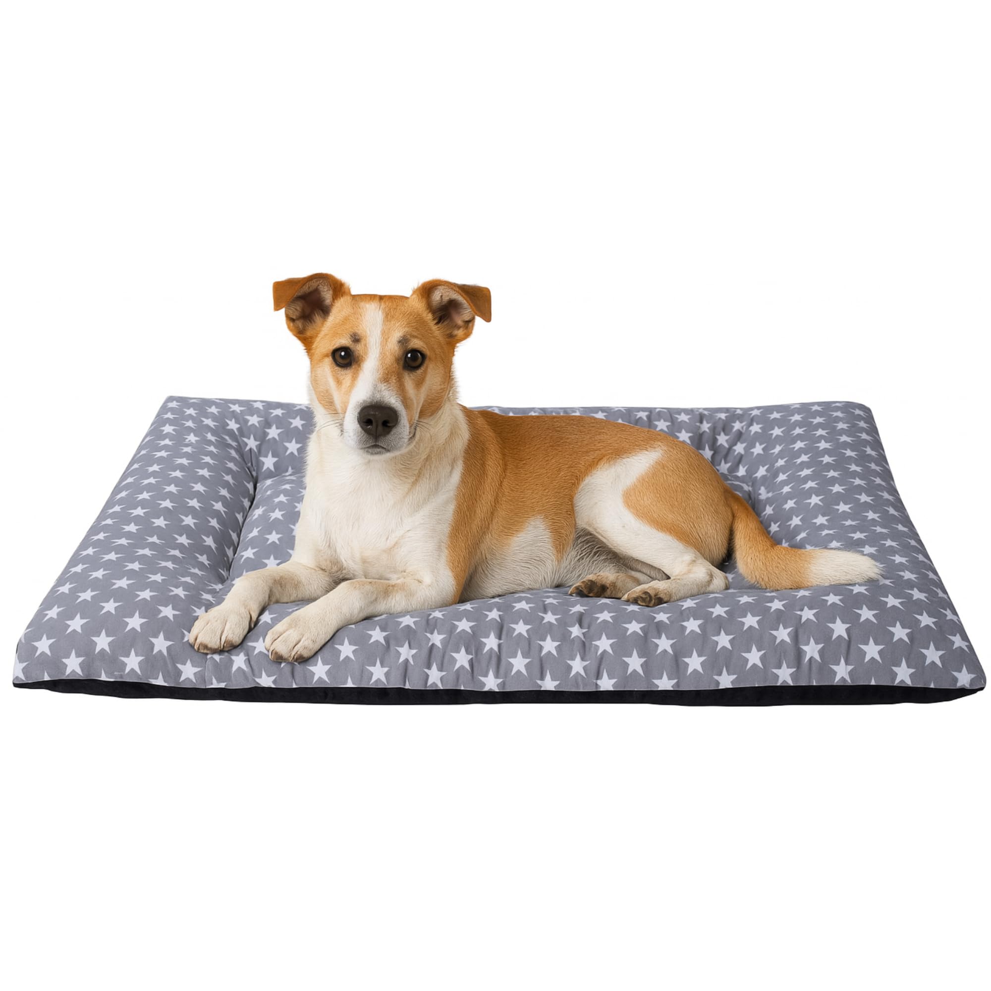 Cama perro mediano Espuma acolchada Colchoneta tacto suave Tejido transpirable Base antideslizante Funda de algodón loneta Ligera cómoda lavable Fácil de transportar y limpiar 65X105X5 Estrella +Cotes