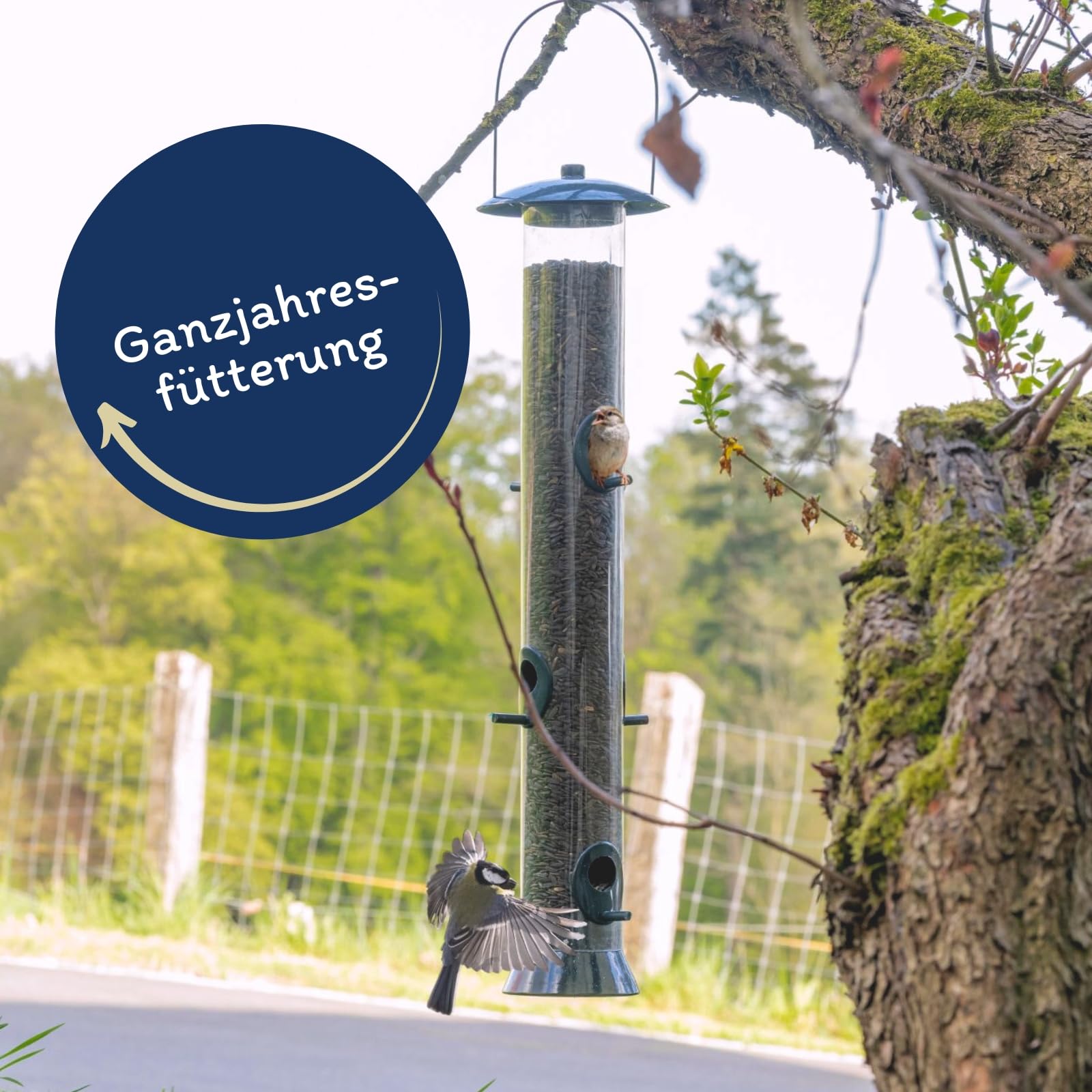 Lyra Pet® | 25 kg Sonnenblumenkerne Schwarz | Vogelfutter für das Ganze Jahr | Premium Wildvogelfutter | Idealer Energiespender für Sommer und Winter | Ölhaltiges Vogelstreufutter für Wildvögel