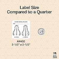 Vista 4 de Pegatinas de examen dental veterinario canino, Doctor Stuff Veterinarian Stickers, 2-1/2" x 2-1/2", Blanco, 390/Roll, Tabbies Veterinary V-AN432