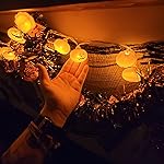 Review Image by Kara Goss Kara Goss