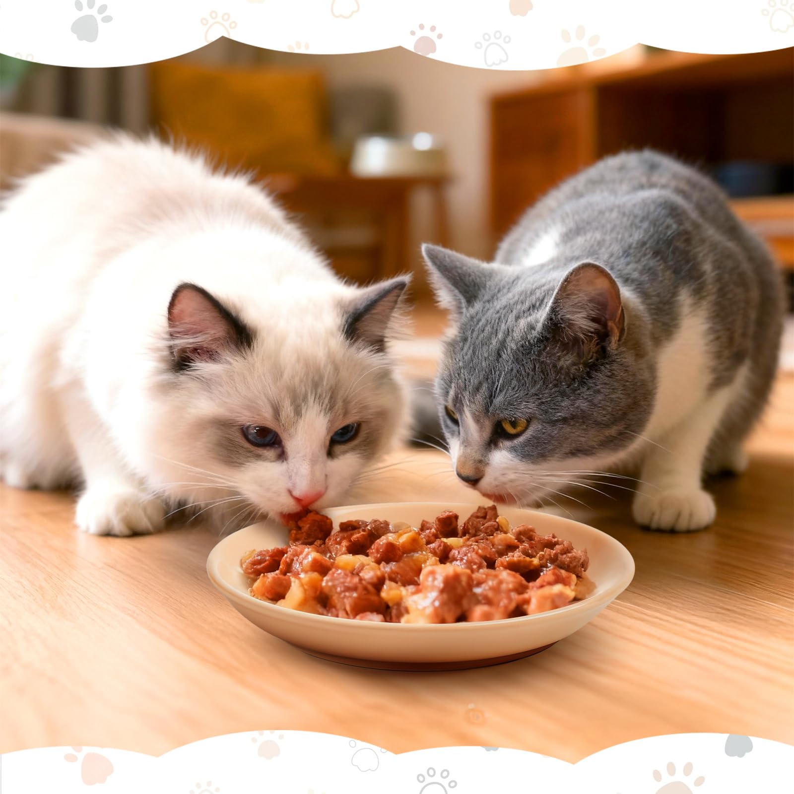 6 Pièces Gamelle Chat, Gamelle Céramique Plat, Bols Chat pour Nourriture et Eau pour Chatons