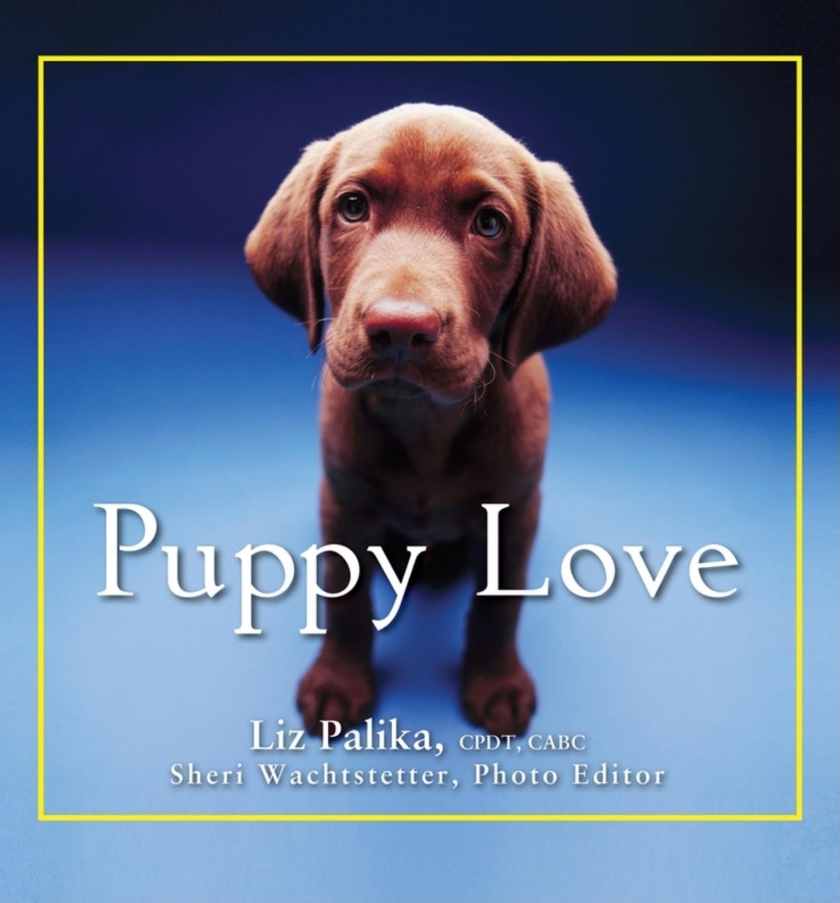 Puppy Love Hardcover – April 1, 2009