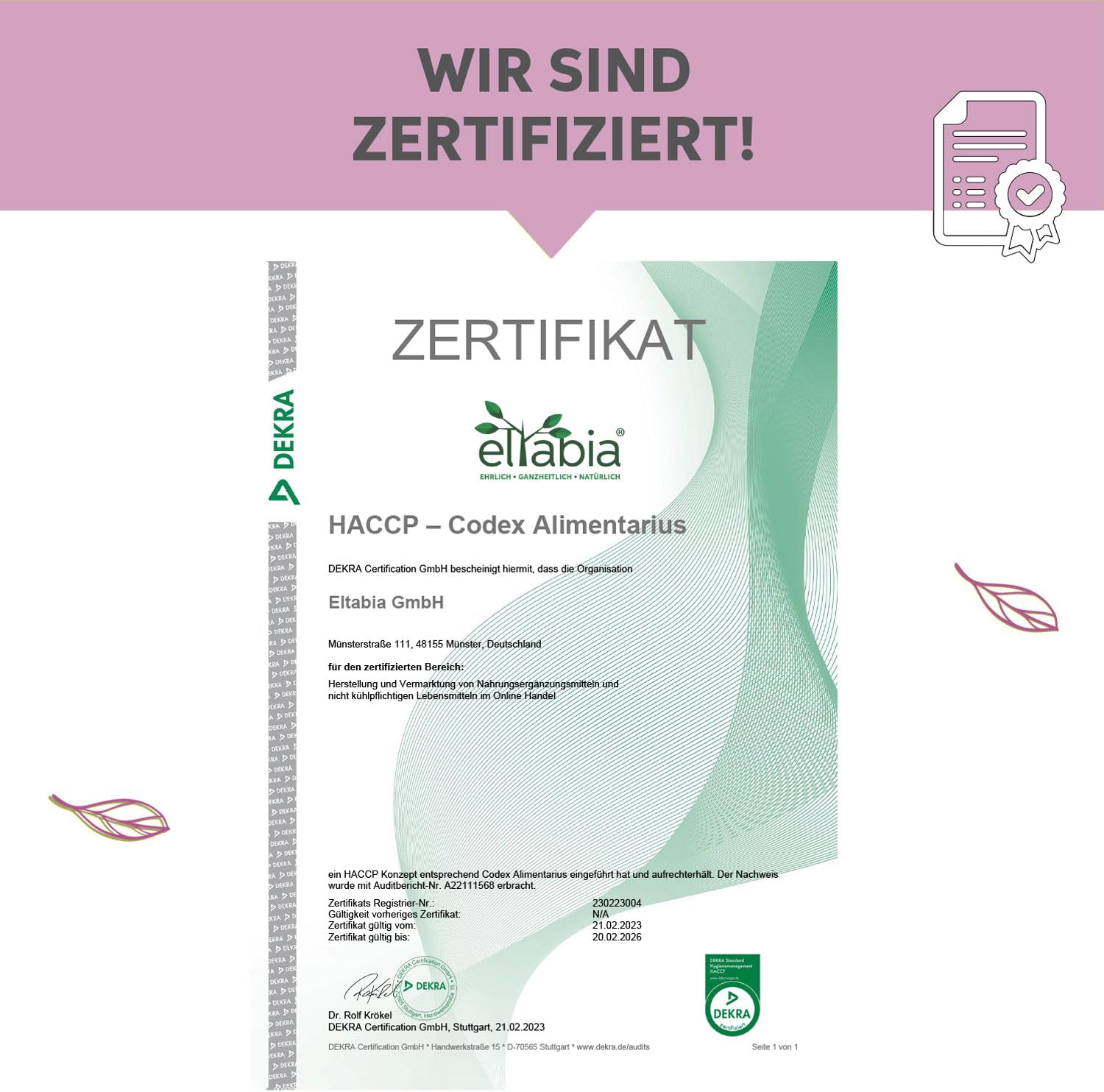 OPC Traubenkernextrakt Kapseln 500 Stück | 95% OPC Hochdosiert 950mg Tagesdosis | Rohkost Qualität Traubenkern Pulver vegan und frei von Zusätzen
