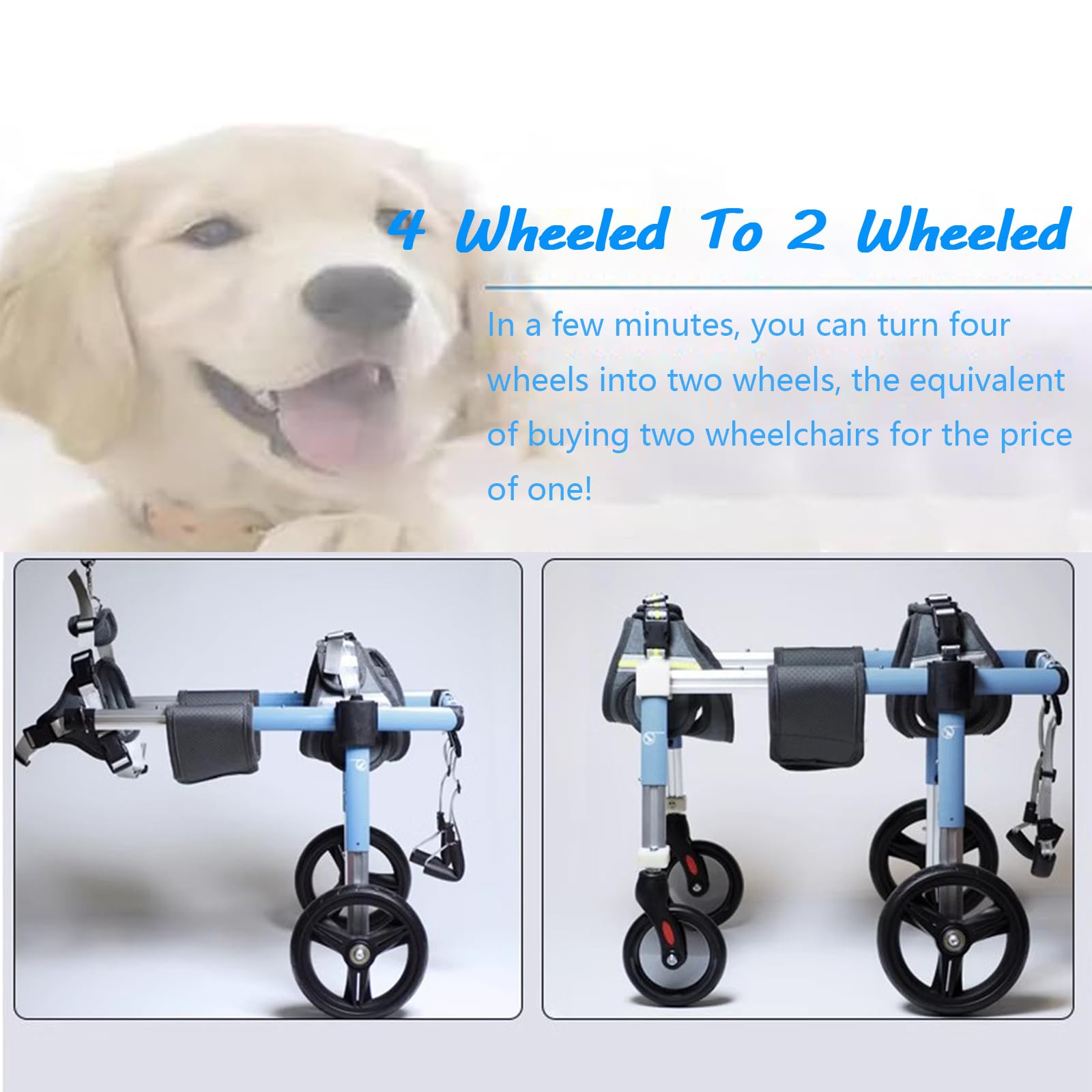 Fauteuil Roulant Pour Chien,Pattes ArrièRe,4 Roues Chien,Attelle D'Exercice Marcheur Handicapé,Aide à La Marche Avant BlesséEs/ParalyséEs,Pour Chariot Animaux Petite,Moyenne Et Grande Taille(XL,Blue)