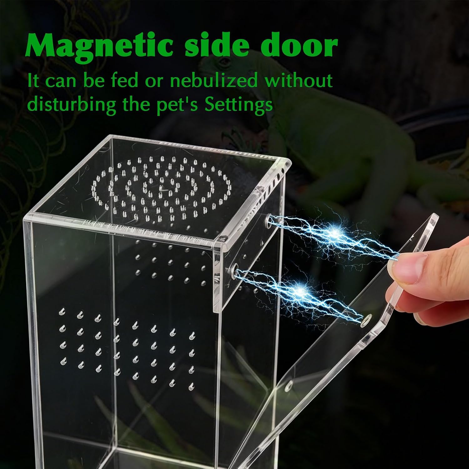 Jumping Spider Enclosure Hammock Kit, Escape-Proof Forest Terrariuma, | Transparent Acrylic Complete Bug Habitat, Ventilation Praying Mantis Habitat, Magnetic Door Arboreal Tarantula Cribs