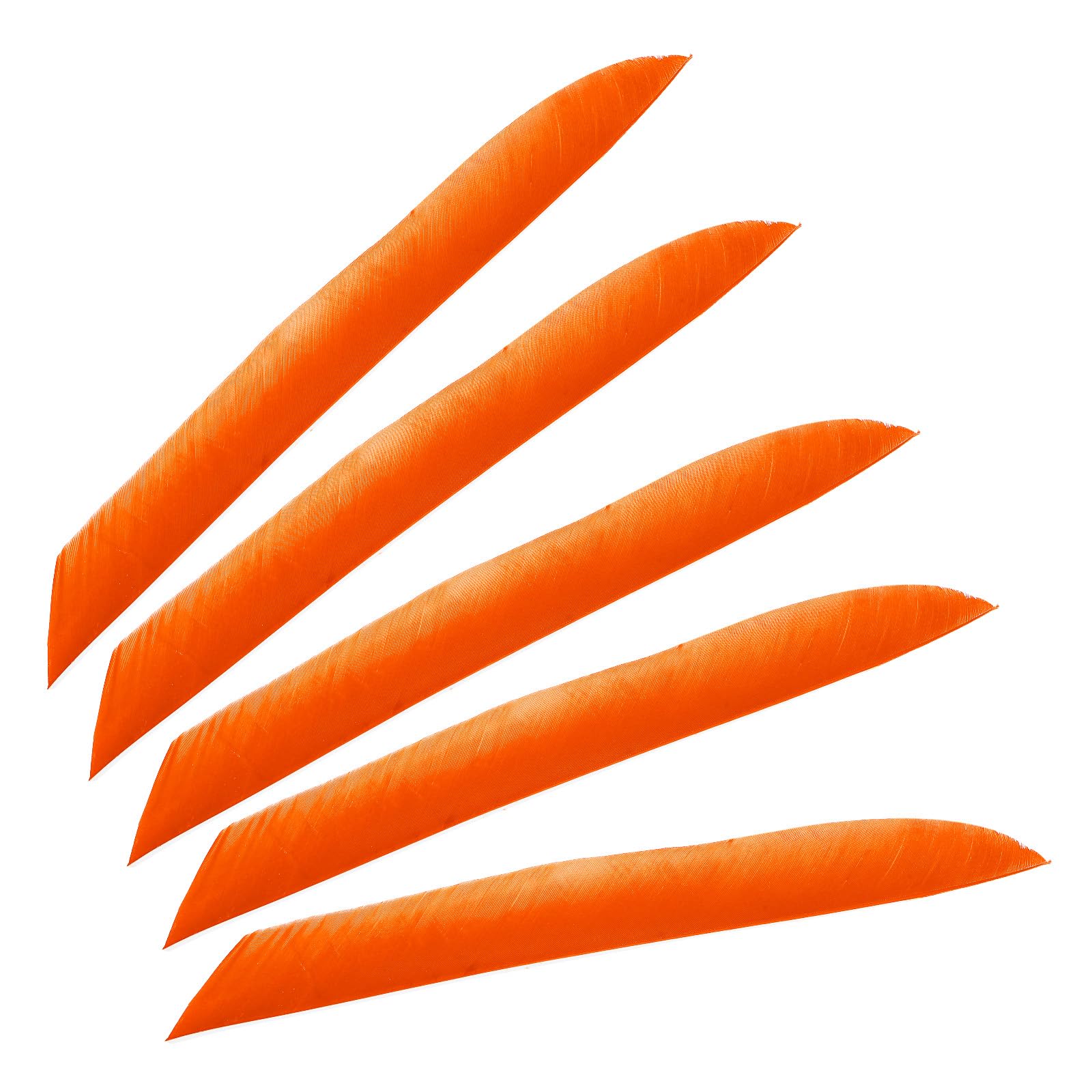 PATIKIL Arrows Vanes, 50 Pack 11 Inch Turkey Feather Arrow Fletching Archery Arrow Feather Left Wing Shield Fletch for DIY Target Shooting, Orange