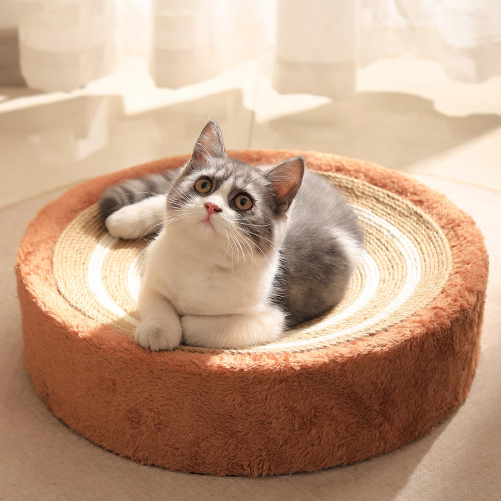 Rascador de pared de gato, cartón rascador para gatos, gatos, tabla para rascar la pared, sofá, alfombrilla para rascar gato, sisal, felpudo de sisal, alfombra para sofá, muebles, puerta,