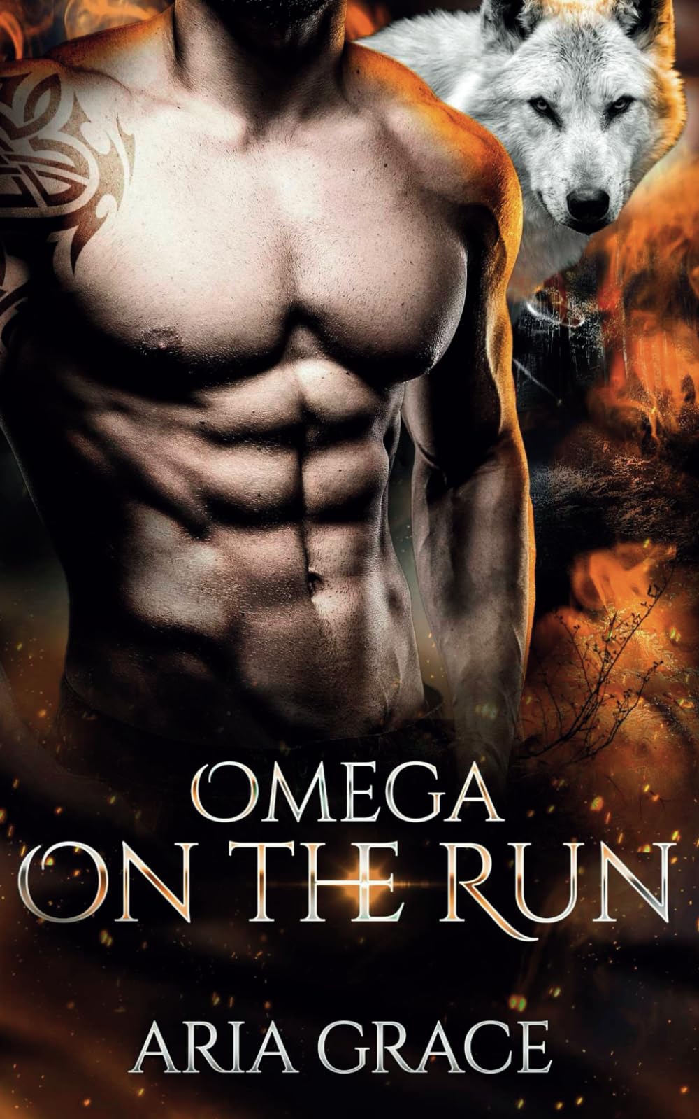 Omega On The Run: An Mpreg Shifter MM Romance