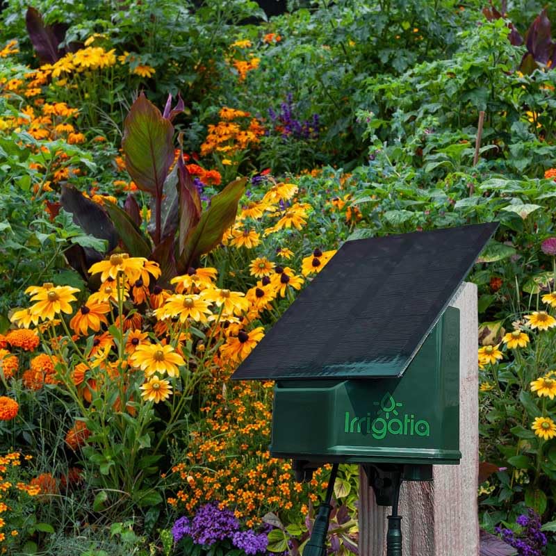 Irrigatia Weather Responsive Solar Powered Irrigation System, Automatic Watering, Water between 36 and 72 plants, 15m Tubing, includes 20 drippers, stakes and T pieces. (IRR-SOL-C36Q, 36)
