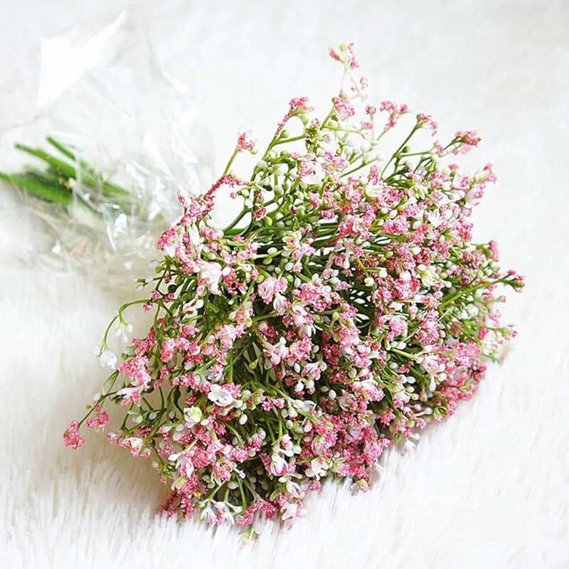 pink babys breath